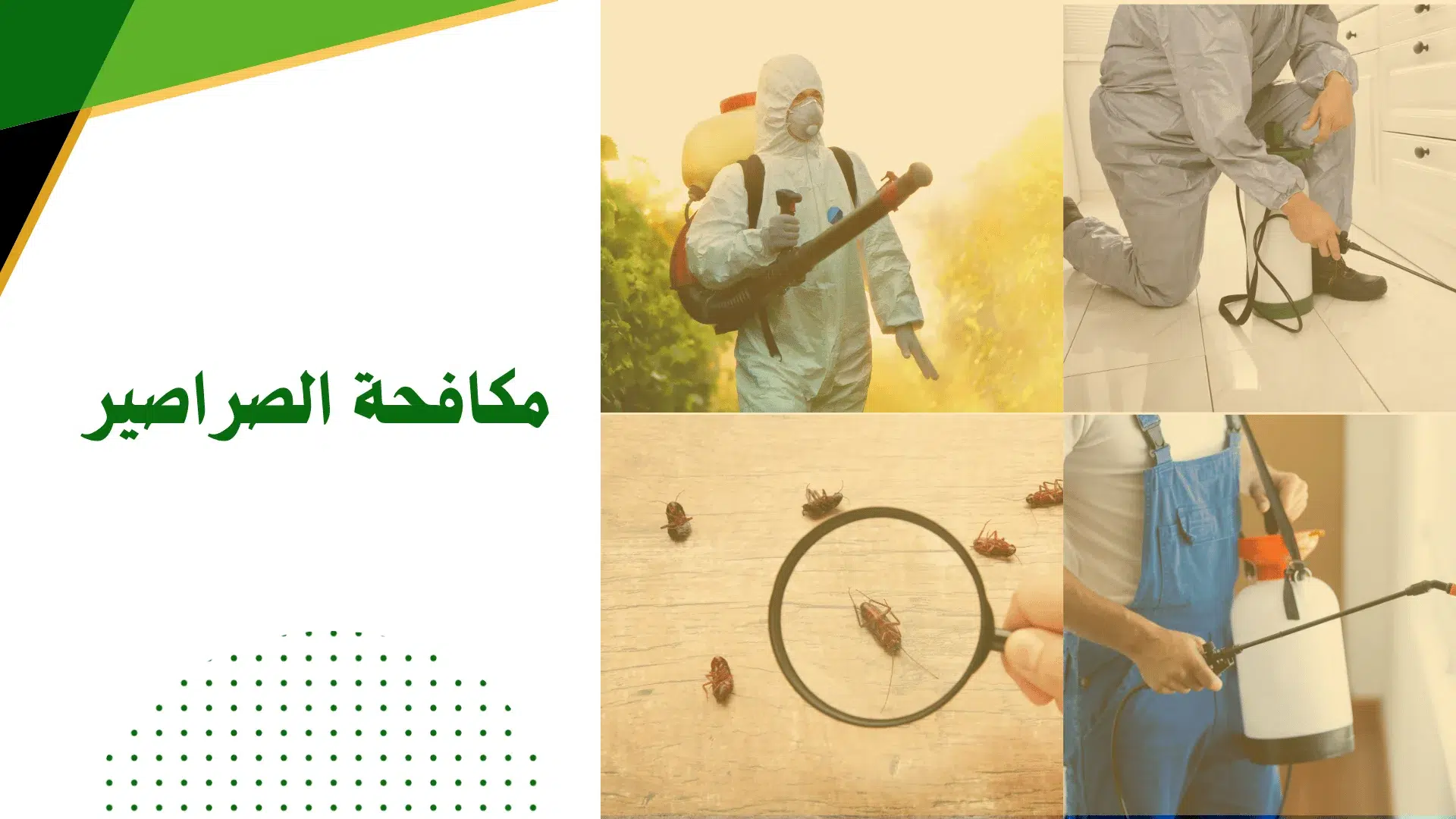 مكافحة الصراصير