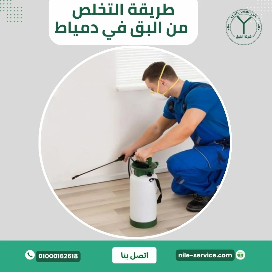 طريقة التخلص من البق في دمياط