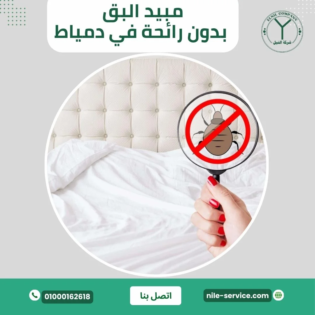 مبيد البق بدون رائحة في دمياط