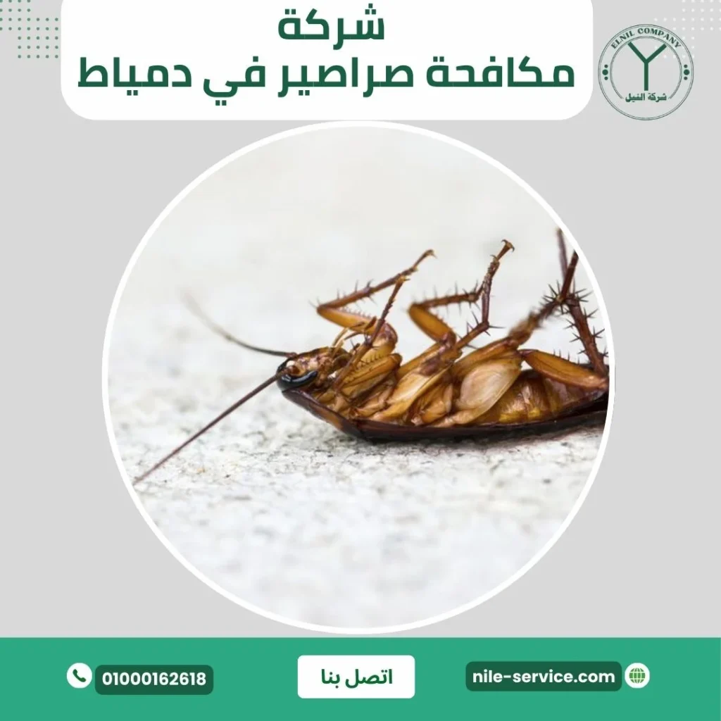 شركة مكافحة صراصير في دمياط