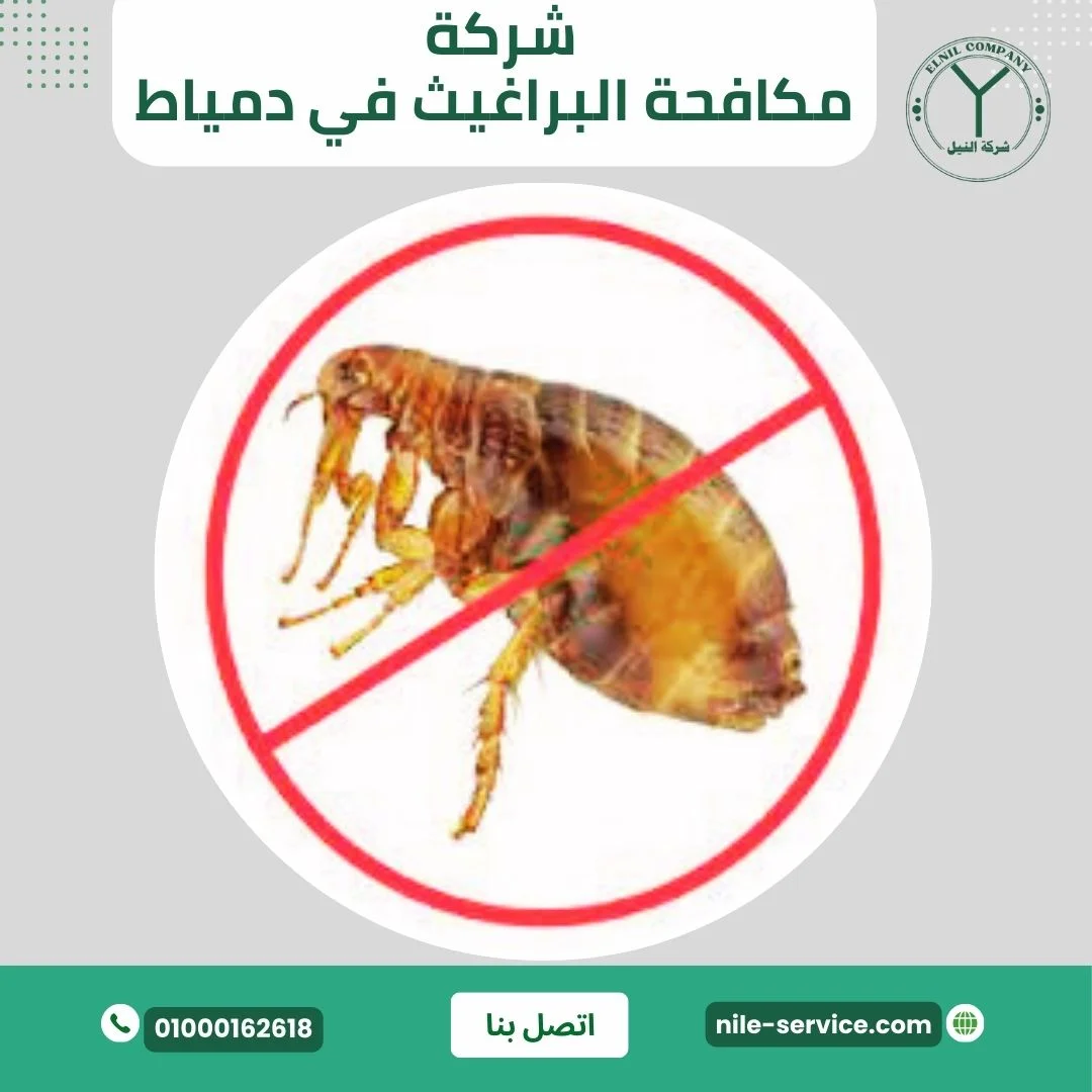 شركة مكافحة البراغيث في دمياط