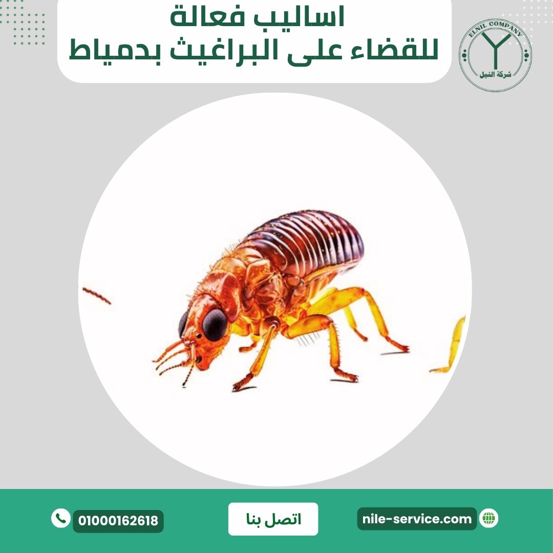 أساليب مكافحة البراغيث الفعالة