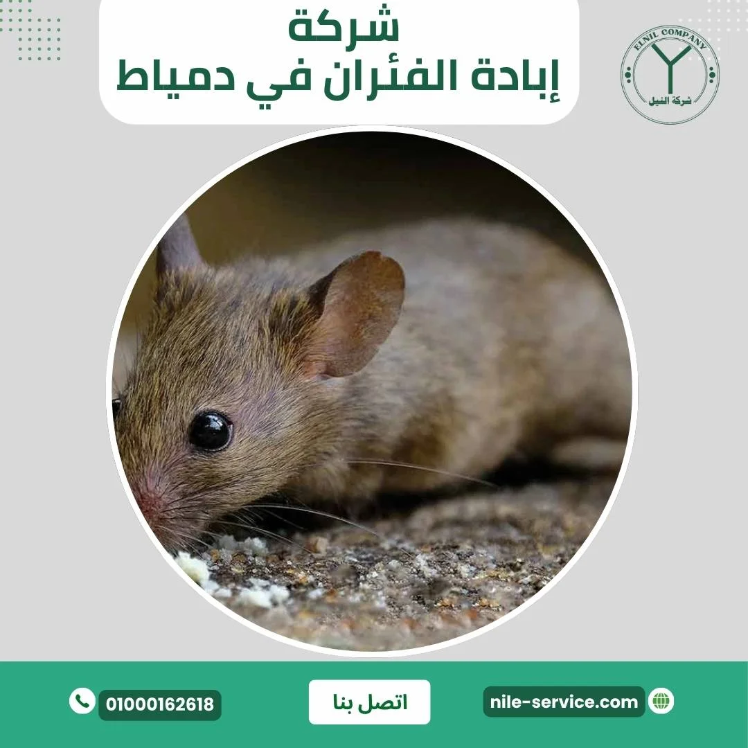 شركة إبادة الفئران في دمياط