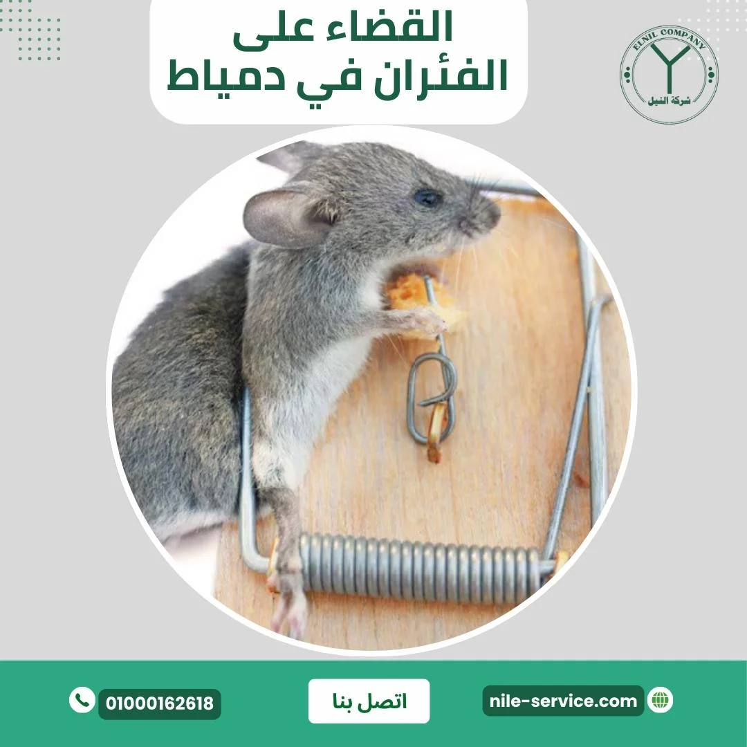 مكافحة الفئران في دمياط