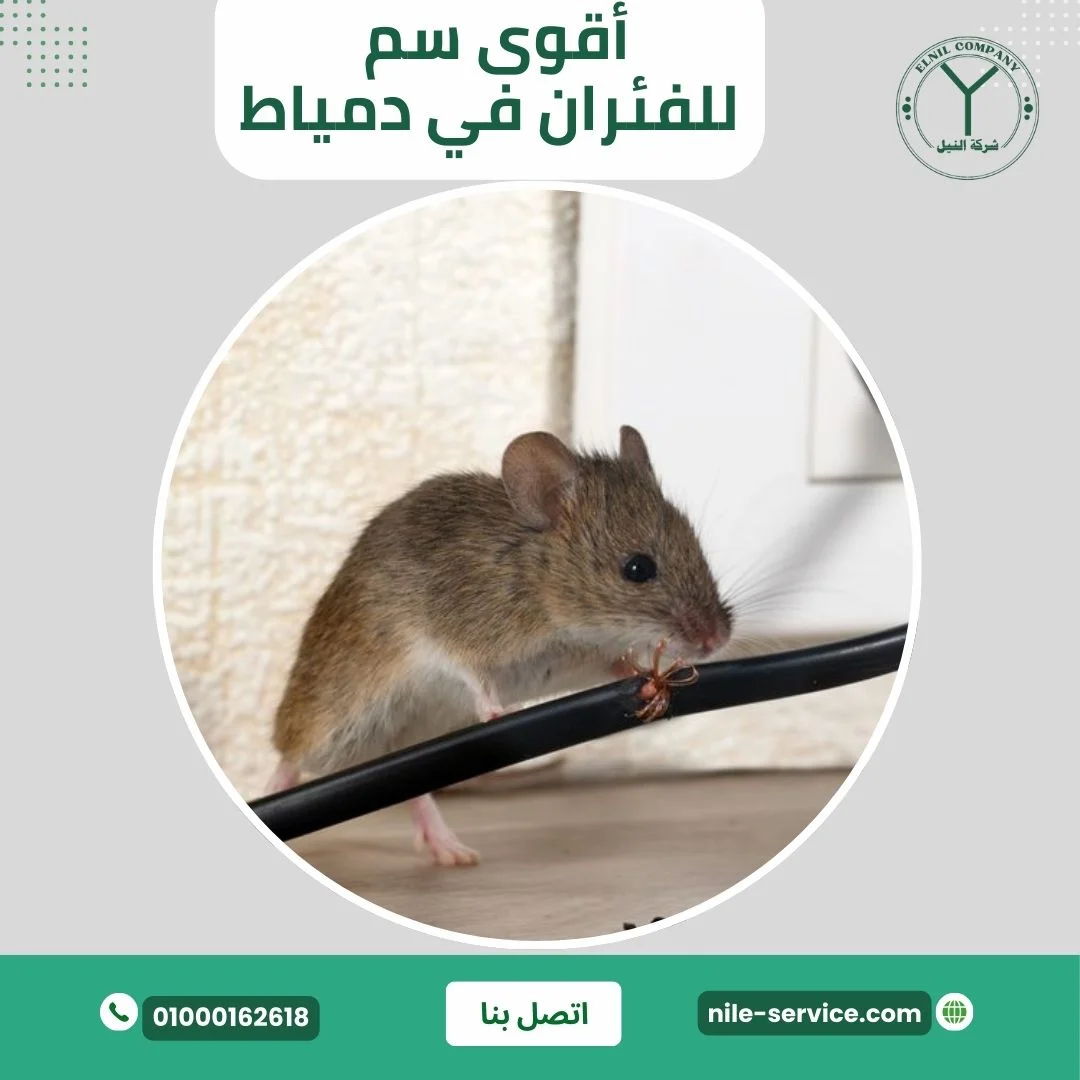 سم فئران قوي في دمياط