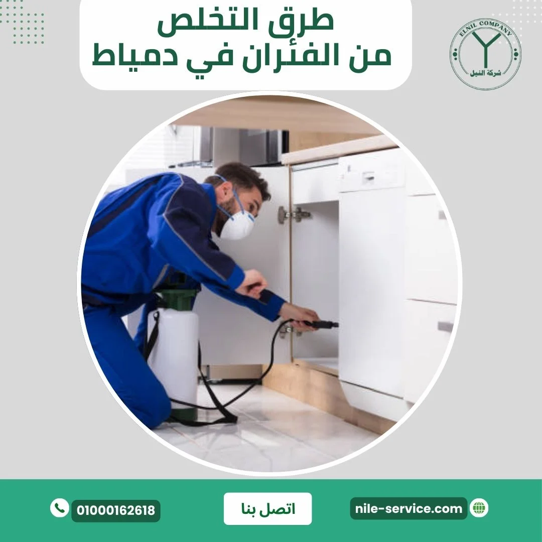 طرق التخلص من الفئران في دمياط