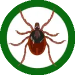 ابادة القراد