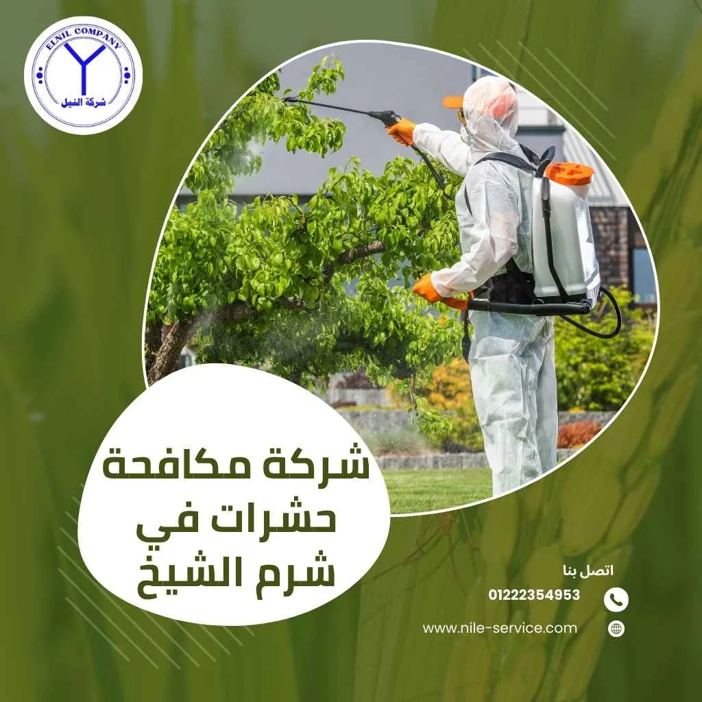 شركة مكافحة حشرات في شرم الشيخ