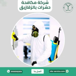 شركة مكافحة حشرات في الزقازيق