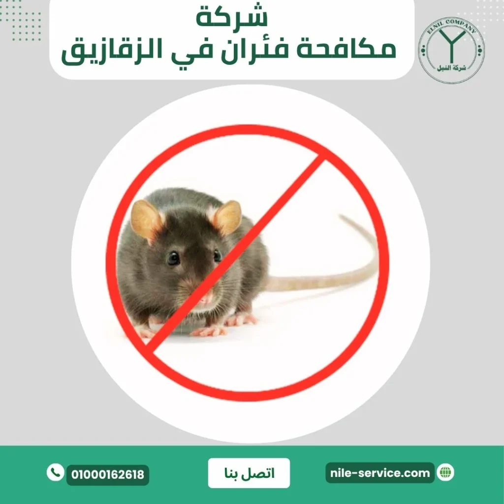 شركة مكافحة فئران في الزقازيق