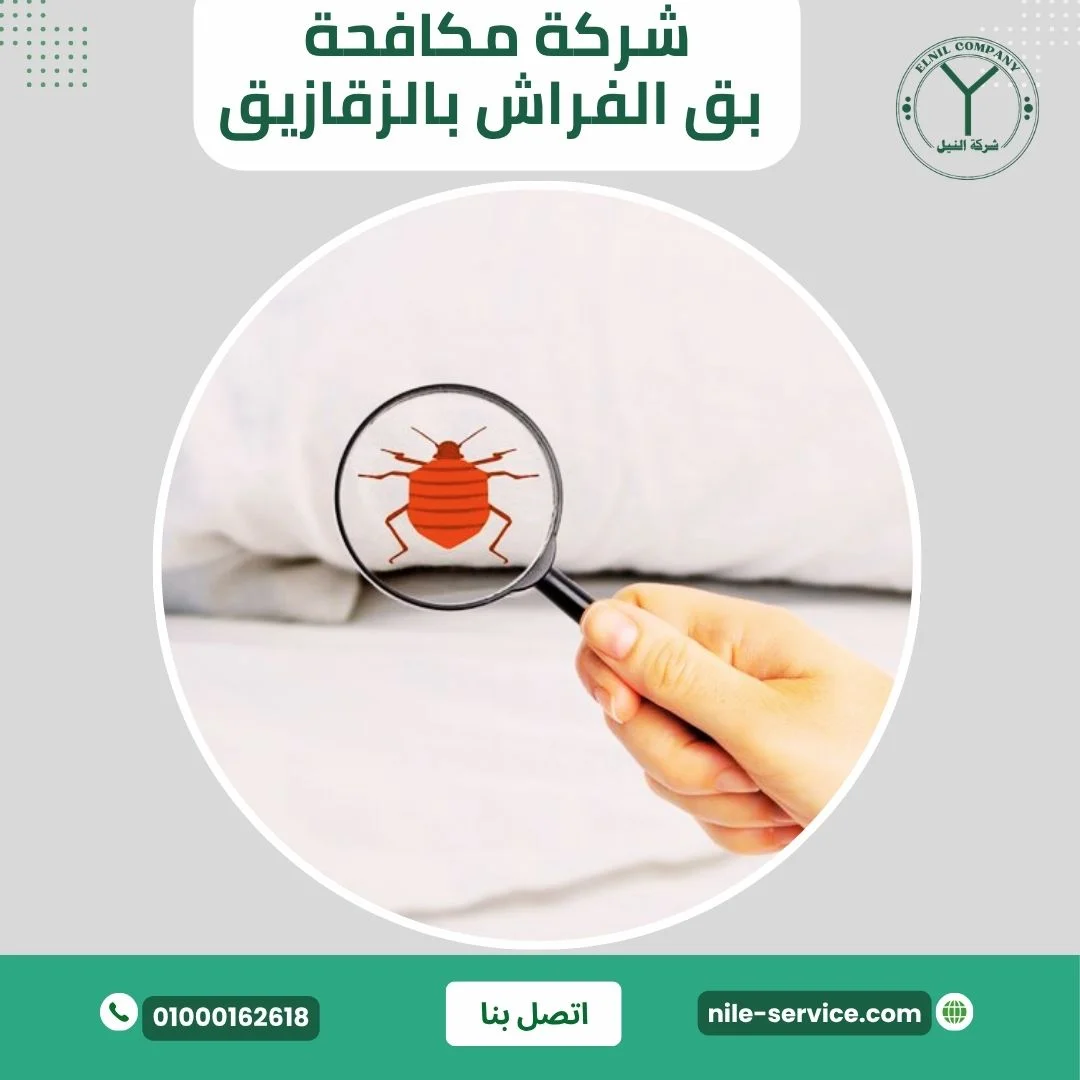 شركة مكافحة بق الفراش بالزقازيق