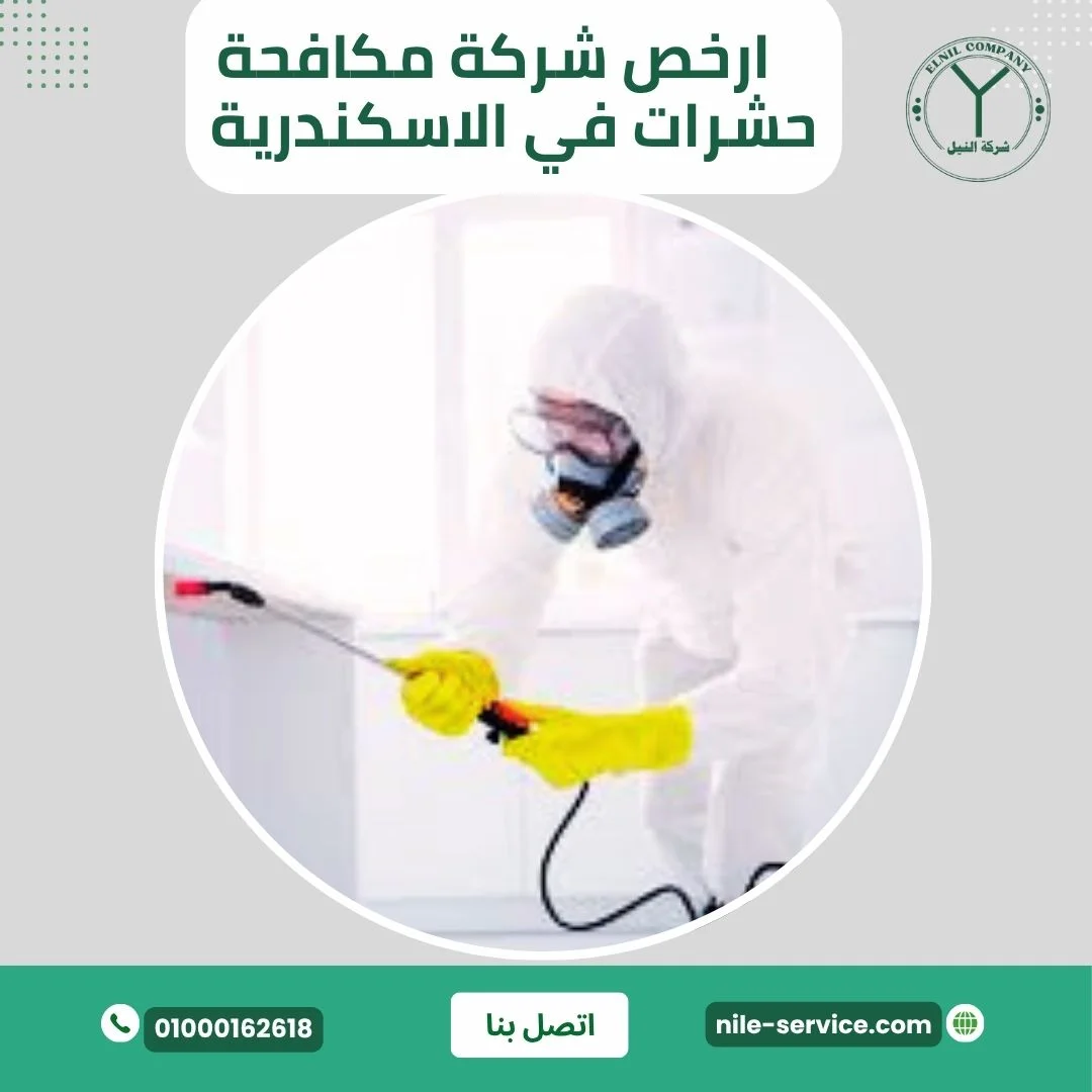 أرخص شركة مكافحة حشرات بالاسكندرية 