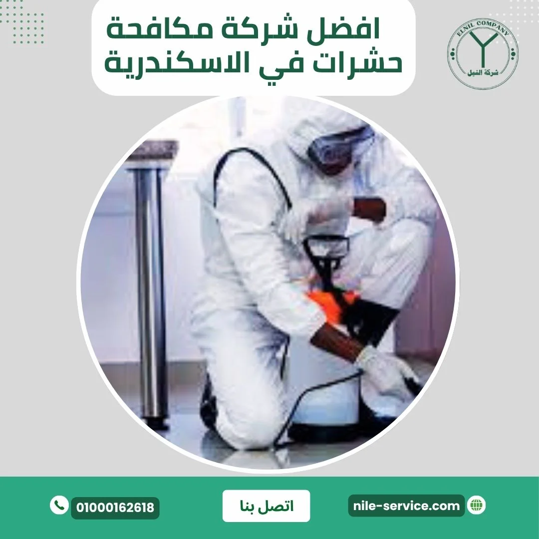  أفضل شركة مكافحة الحشرات في اسكندرية