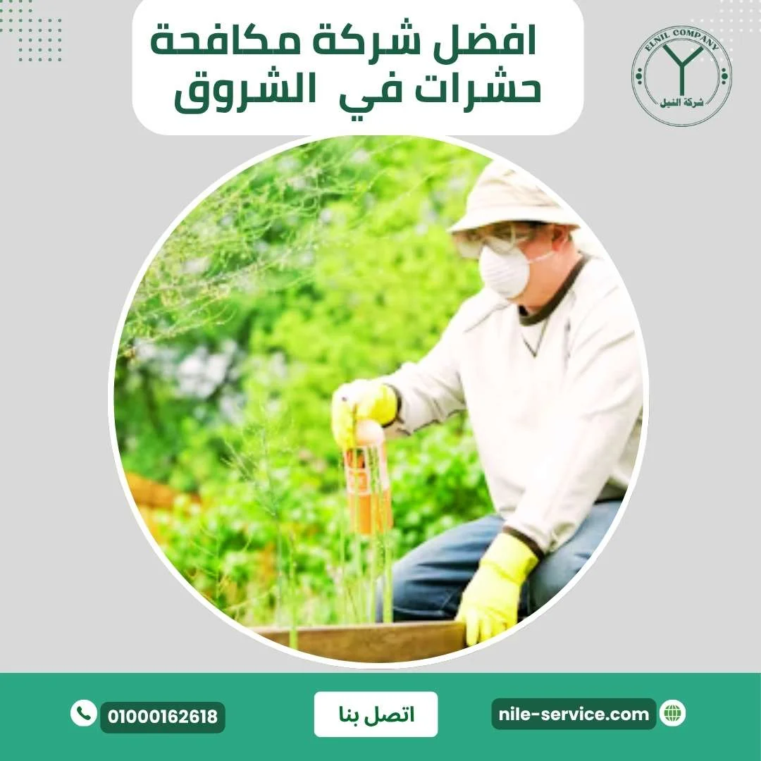 افضل شركة مكافحة حشرات فى مدينة الشروق