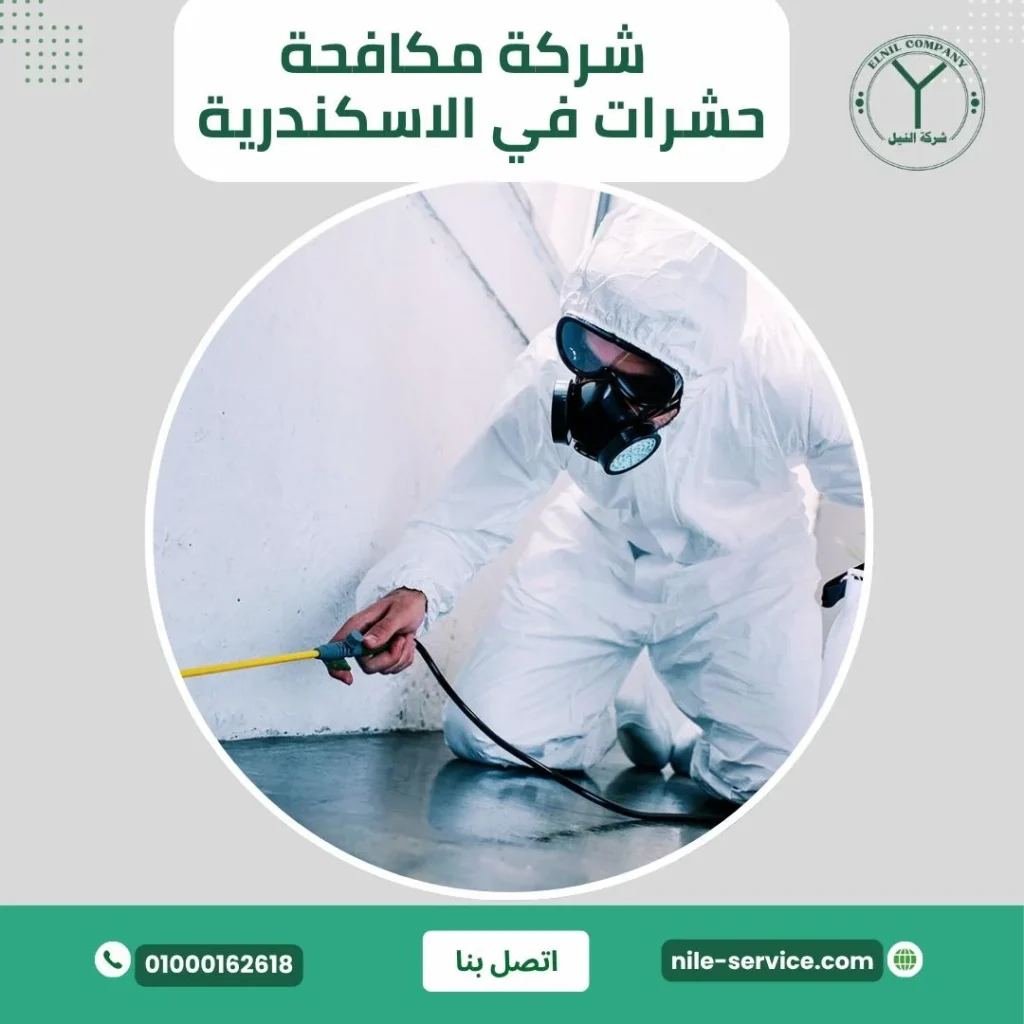 شركة مكافحة حشرات بالاسكندرية