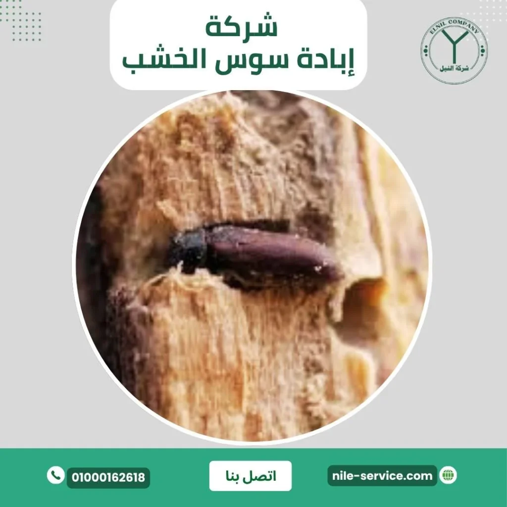 شركة إبادة سوس الخشب