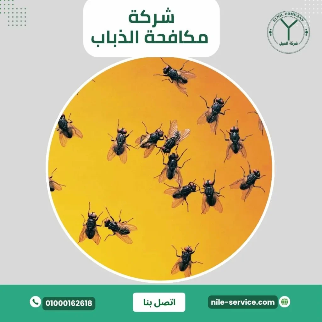 طرق التخلص من الذباب