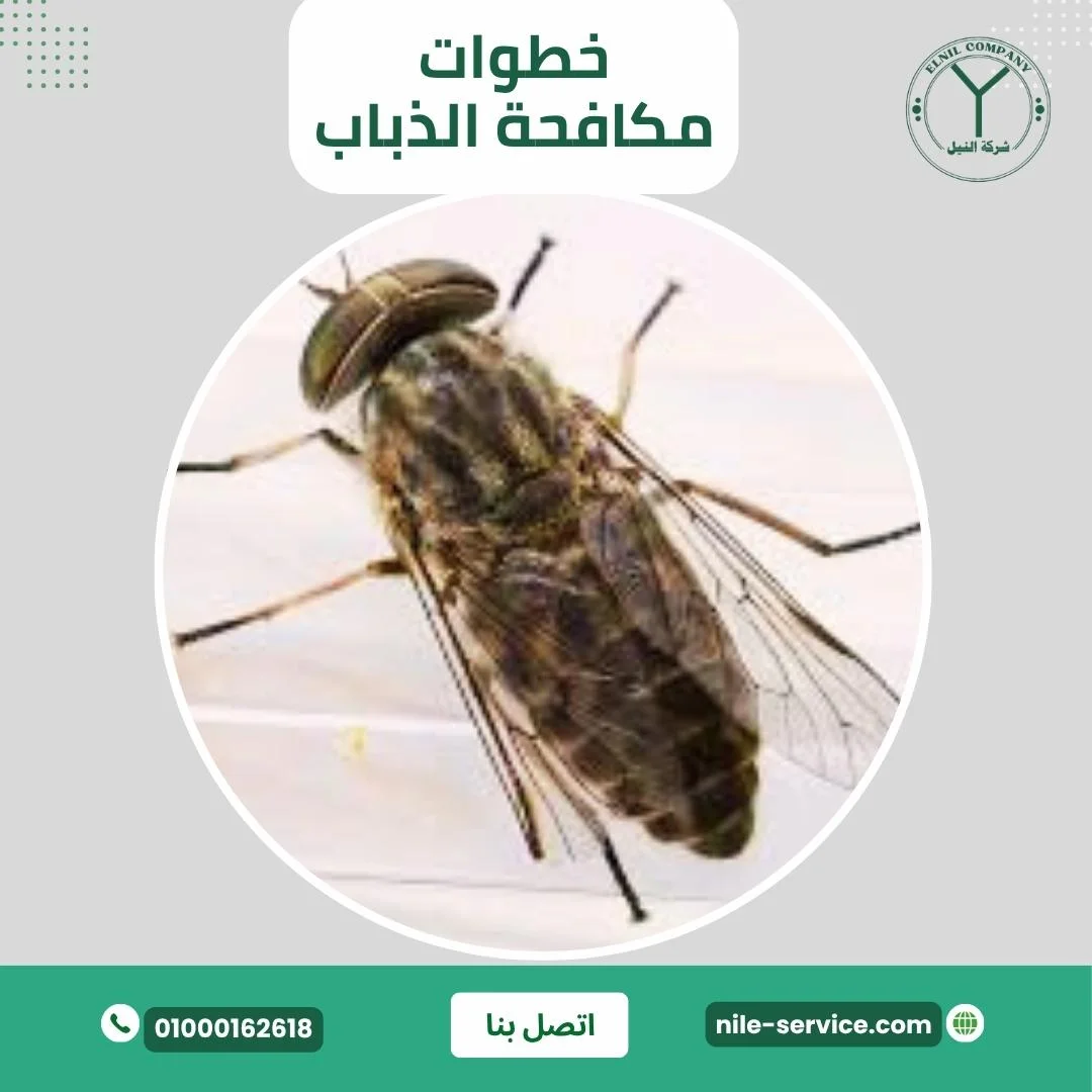 طرق التخلص من الذباب