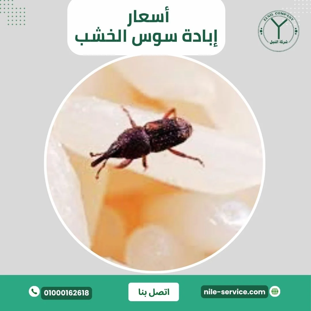 أسعار إبادة سوس الخشب