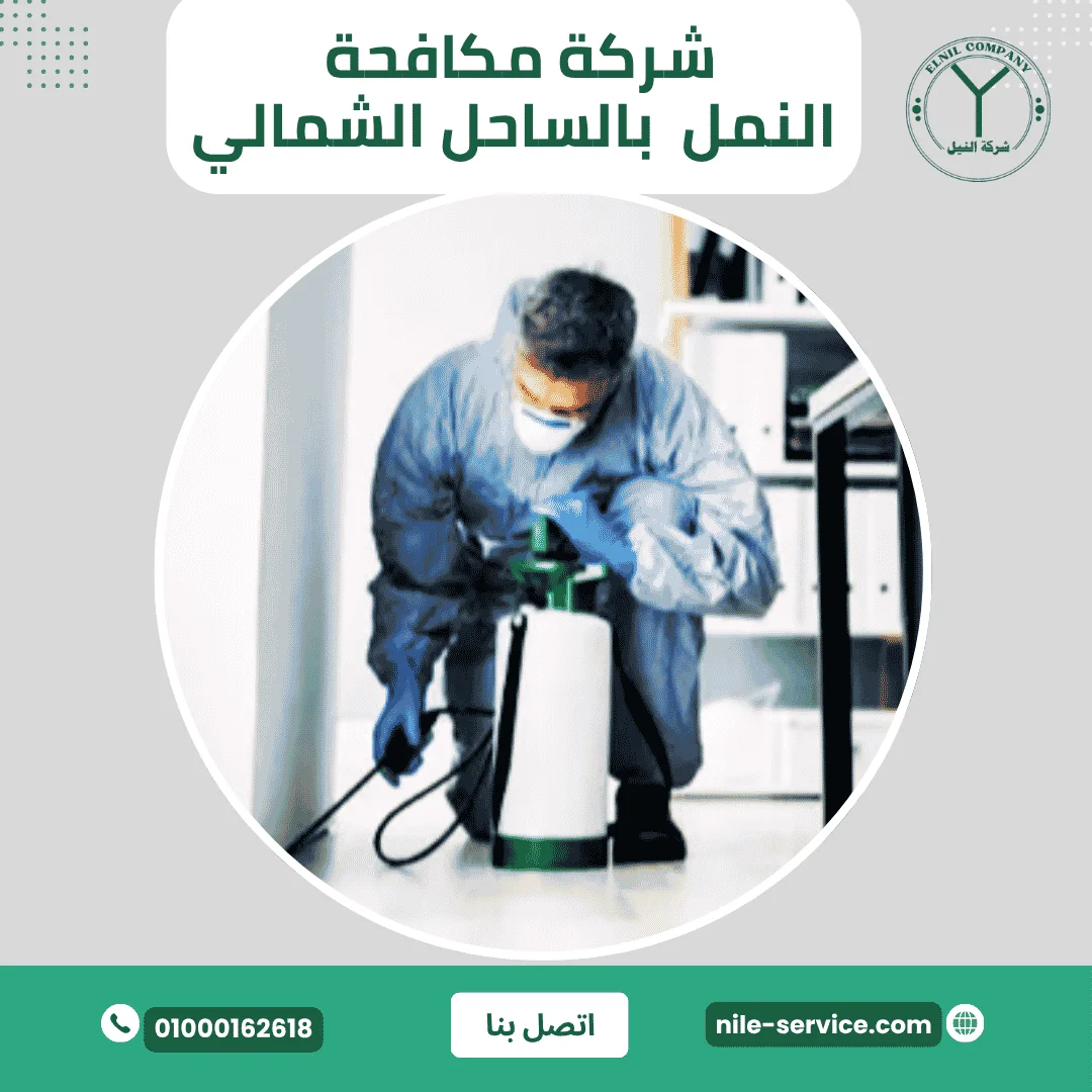 شركة مكافحة النمل في الساحل الشمالي
