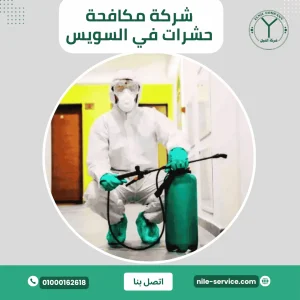 شركة مكافحة حشرات في السويس