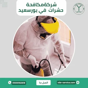 شركة مكافحة حشرات في بورسعيد