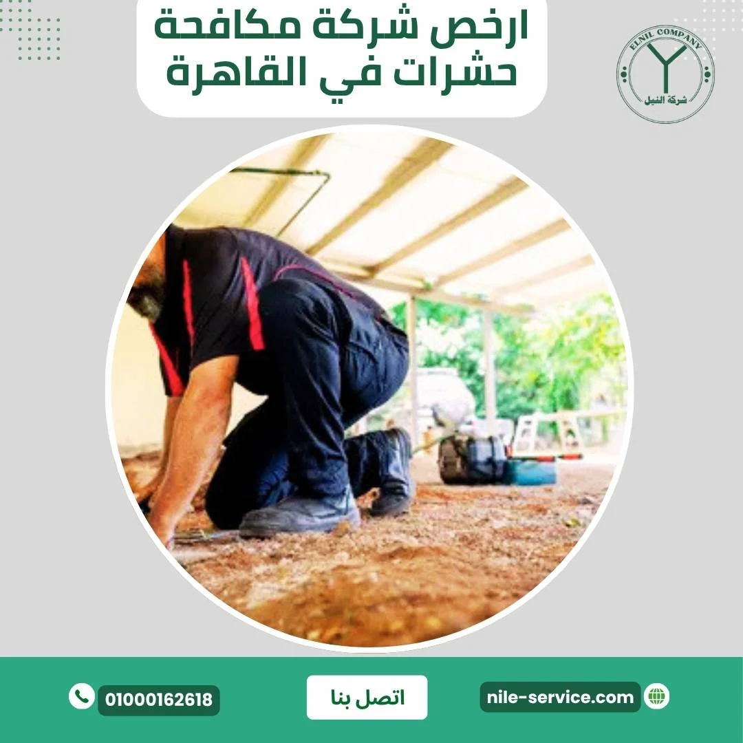 أرخص شركة مكافحة حشرات في القاهرة
