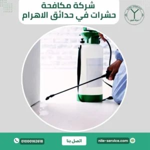 شركة مكافحة حشرات في حدائق الأهرام