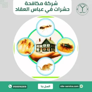شركة مكافحة حشرات في عباس العقاد